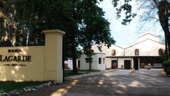 Día privado en bodegas de Mendoza (Vuelo opcional desde Buenos Aires)