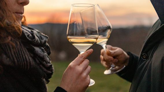 Langhe: Trüffelsuche bei Sonnenuntergang mit Verkostung und Wein
