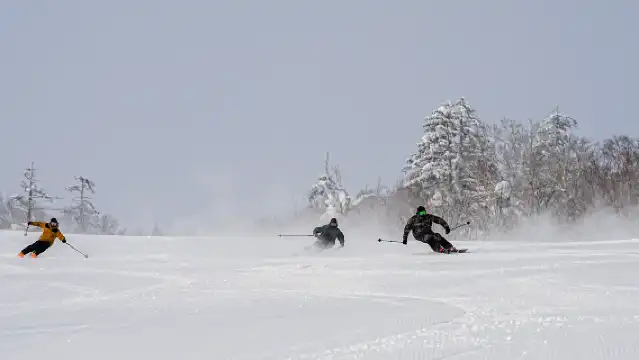 北海道 札幌國際滑雪場 1日纜車票+來回巴士票(札幌市內 出發/返回) 丨一站式滑雪,日歸超便利