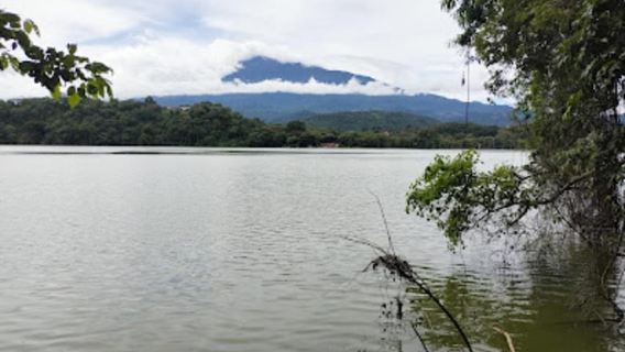 Arusha: Đi bộ tự nhiên có hướng dẫn tại Hồ Duluti, chèo thuyền và dã ngoại