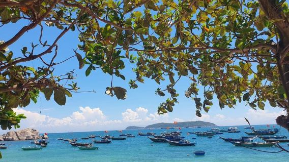 จากฮอยอัน: ทริปวันเดียว Cu Lao Cham พร้อมอาหารกลางวันแบบอาหารทะเล