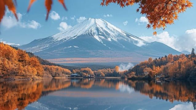 日本境內 旅遊地陪|專業翻譯 |展會|商務出行|考察|陪同|拜訪