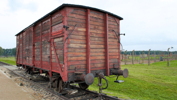 Krakow: Tour tham quan Auschwitz-Birkenau có hướng dẫn hoặc tự túc