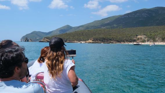 Setúbal: tour in barca per l'osservazione dei delfini