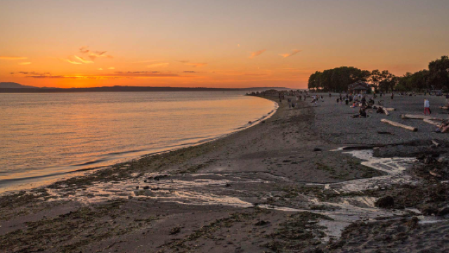 西雅圖一日遊:凱瑞公園+煤氣廠公園+金色公園+華盛頓公園植物園