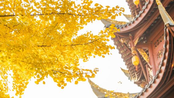 [5 วัน 4 คืน] เถิงชงดินแดนลึกลับ - ทัวร์เชิงนิเวศวัฒนธรรมภูเขาไฟและน้ำพุร้อนแบบเจาะลึก