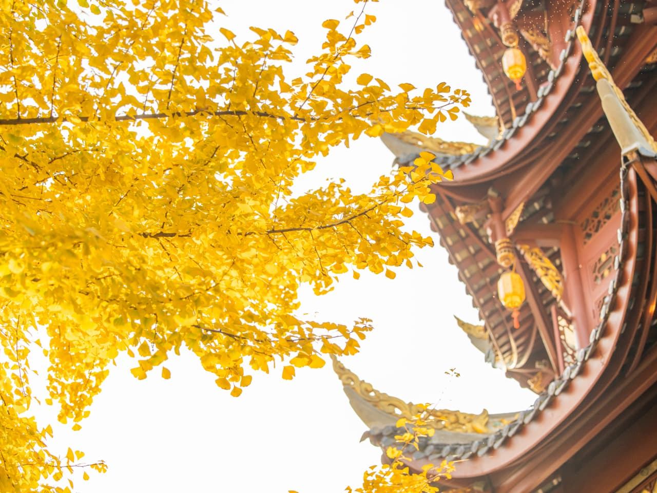 [5 วัน 4 คืน] เถิงชงดินแดนลึกลับ - ทัวร์เชิงนิเวศวัฒนธรรมภูเขาไฟและน้ำพุร้อนแบบเจาะลึก