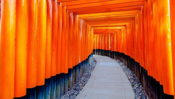 Bus-Tour Kyoto/Osaka: Nara, Fushimi Inari Taisha, Arashiyama