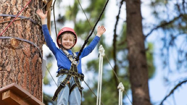 Chiang Mai Elephant Camp + Jungle Flight + Namtok Bua Tong-Nam Phu Chet Si National Park 1-day tour (Chinese-speaking driver private charter)