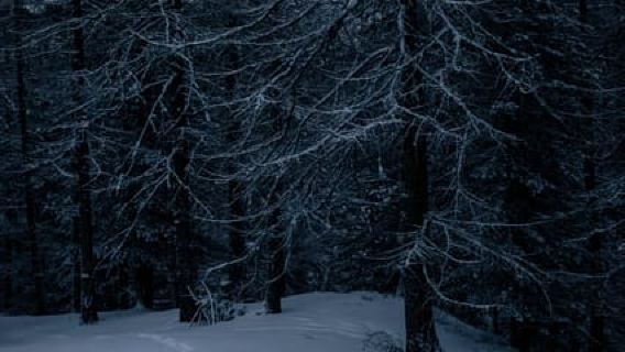 Via Lattea: night snowshoeing with a typical dinner in a cozy cabin