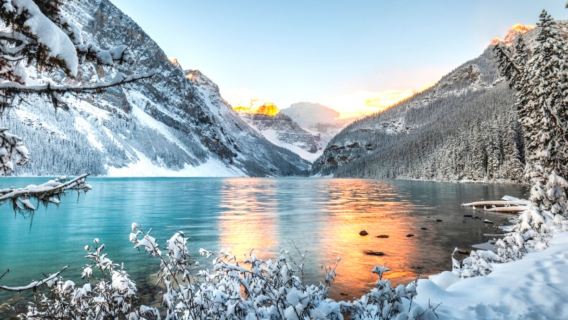 1-day tour to Lake Louise Yoho National Park, Canada [Winter Tour/Natural Bridge/Emerald Lake]
