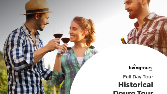 Douro Historical Tour