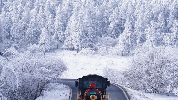 2-8人小團|重慶武隆一日遊A線|天生三橋+仙女山+烏江畫廊