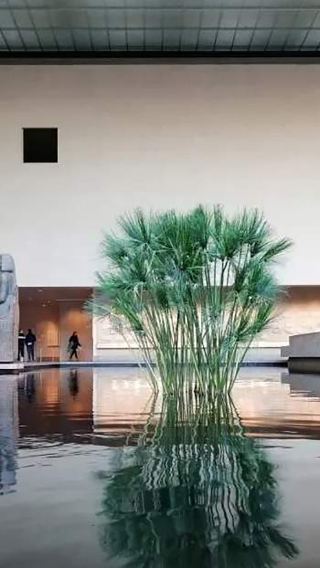 The Metropolitan Museum of Art Highlights Tour