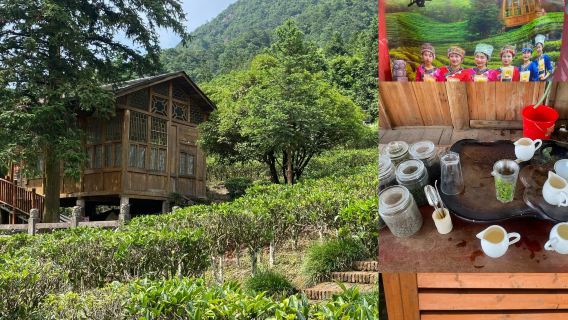 Guangxi Hezhou 1-day Tour with Private Charter: Gupo Mountain + Yushi Stone Forest + Yongfeng Lake Wetland Park (English Service Available)