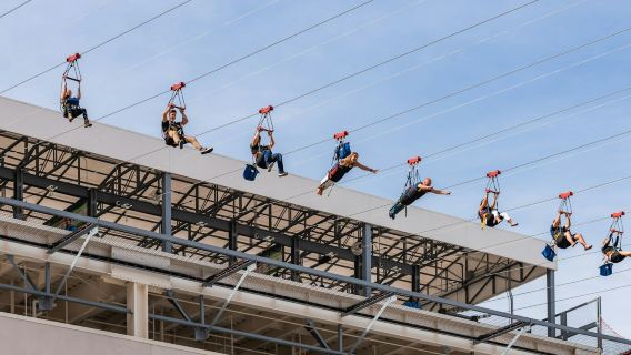 Fly LINQ Zipline Las Vegas-dalen: Inträdesbiljett