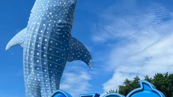 珠海長隆企鵝/飛船/馬戲/橫琴灣/迎海丨海洋王國/飛船樂園1晚/2晚套票可選長隆秀/卡卡虎/自助餐含園內接駁車