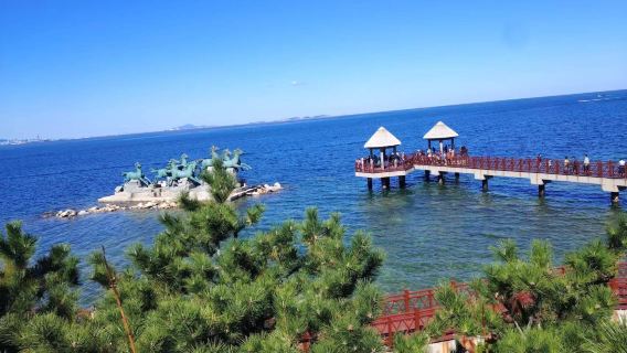 【包車私家團】煙台景區一日【可從煙台或威海出發，可自訂路線】