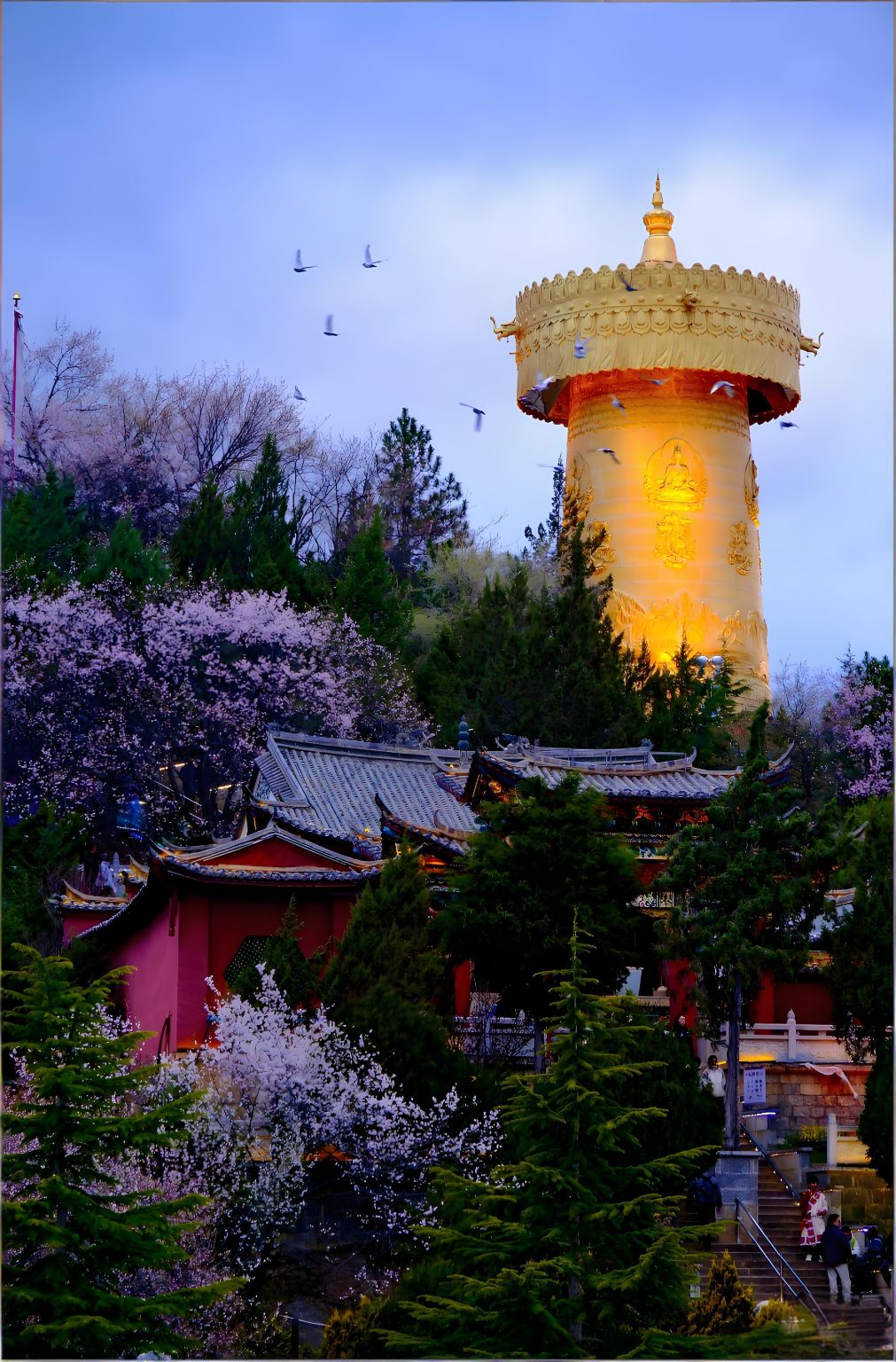 Shangri-La Day Tour [Circular Napahai Lake + Tiger Leaping Gorge + Dukezong + Complimentary Tusi Banquet + Large Prayer Flags]