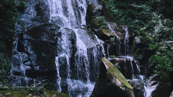 Business Van | Optional English Guide | Depart from Hangzhou to Huzhou Hidden-Dragon Waterfalls + Anji Jiangnan Tianchi