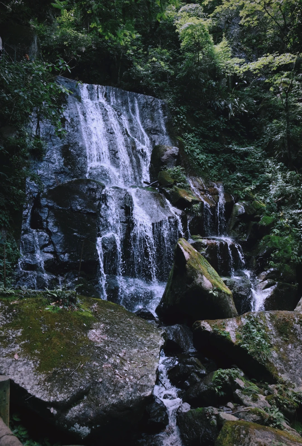 승합차 | 영어 가이드 선택 가능 | 항저우 출발 후저우 장룡백포(장룽바이푸) + 안지 강남천지