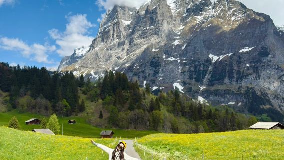 瑞士 ▎阿爾卑斯山腳格林德瓦+少女峰滑雪+因特拉肯夢中的天堂