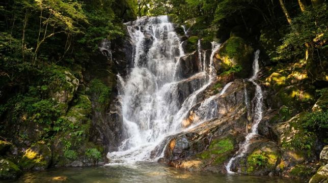Yanagawa Island One-Day Tour