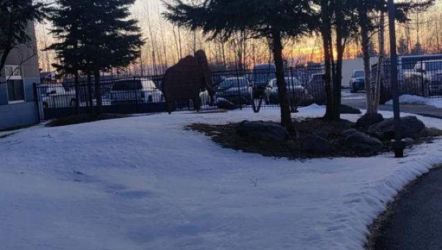 美國安克雷奇-楚加奇州立公園-中文私享行