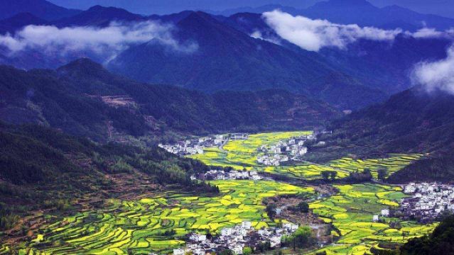 Lawatan bunga di Kampung Maihua + Penerokaan budaya Dongping Xijing di Bandar Purba Huizhou + Lawatan malam budaya Xidi | Sewaan peribadi lawatan sehari