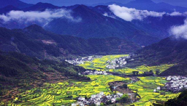 Lawatan bunga di Kampung Maihua + Penerokaan budaya Dongping Xijing di Bandar Purba Huizhou + Lawatan malam budaya Xidi | Sewaan peribadi lawatan sehari