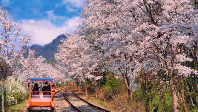 Great choice for family travel|LEGOLAND® Korea Resort X Nami Island