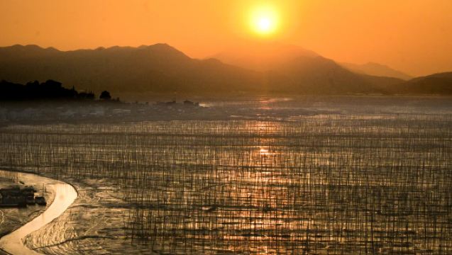 Fuzhou Round-Trip: Private Charter to Customize Xiapu Beiqi Wetlands + Xiaohao Wetlands + Dongbi Village + Shajiang S Bay