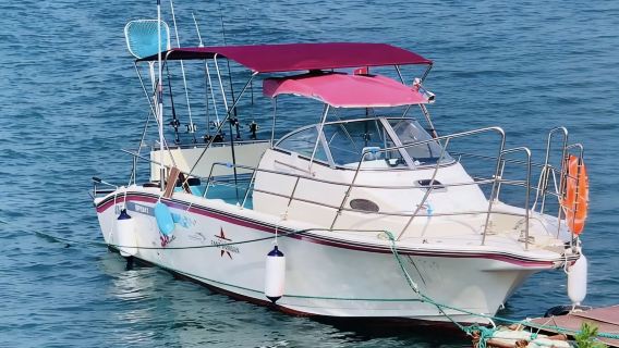 [Sewa Kapal Memancing di Weihai] Kapal Memancing Miku di Pulau Liugong Weihai + sewa kapal 3 jam + air minum + pengalaman memandu sendiri + memancing di laut