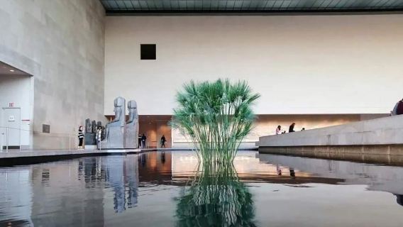 Recorrido por los destacados del Museo Metropolitano de Arte