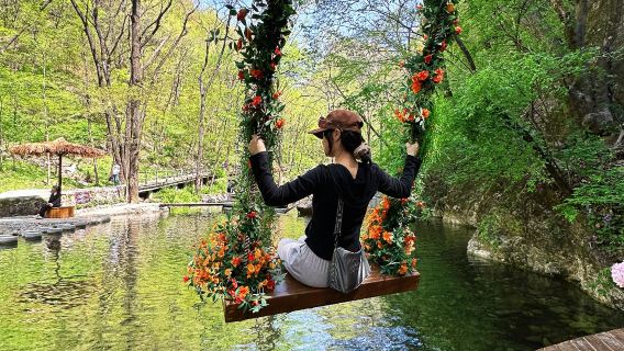 【牛背梁1日遊】秦嶺天然氧吧，漫步山野秘境，偷得浮生一日閒~