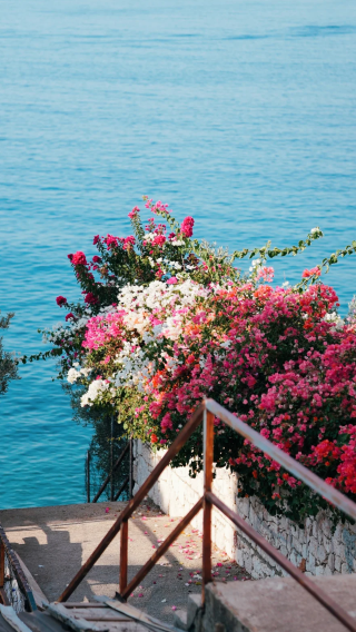 1-day private chartered tour to Fethiye, D400 highway, Kaş and Antalya