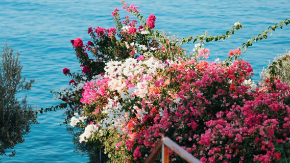 1-day private chartered tour to Fethiye, D400 highway, Kaş and Antalya