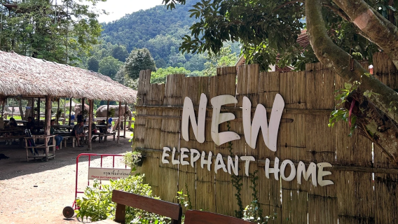 清邁 New Elephant Home+粘粘瀑布一日專車遊