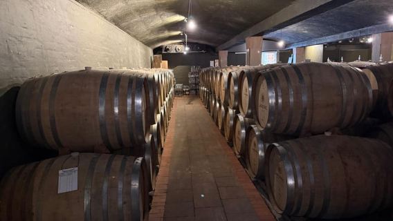 Cape Town: Cheetah Outreach, Giraffe Encounter & Wine Tour