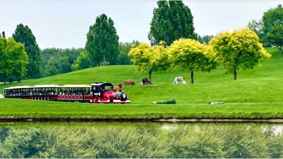 Tour di un giorno al Parco Faunistico di Pechino Daxing [trasferimento VIP porta a porta + include biglietto d'ingresso allo zoo]