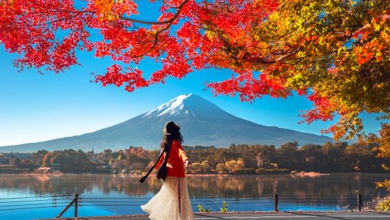 A day trip to view autumn foliage at six major spots around Mount Fuji, including Lake Kawaguchi, Lake Yamanaka, Lawson convenience store, and Nikkawa watch store.