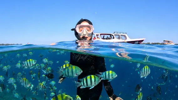 Gili Trawangan: Private Snorkeling Tour Gili Island With Guide & Free Documentation Video