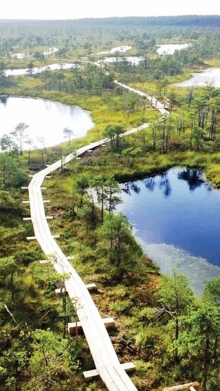 Riga, Latvia | Jurmala + Ķemeri National Park private charter 1-day tour ※ Itinerary can be customized
