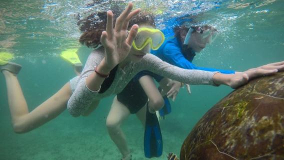 Snorkeling with turtle