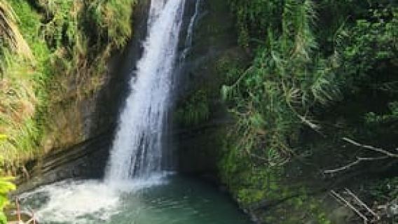 Grenada: Tour with Waterfall Swim and Chocolate Factory