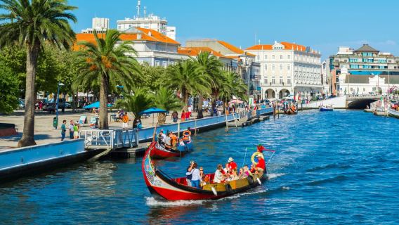 Aveiro, Costa Nova, Válega Church & Senhor Da Pedra Full Day