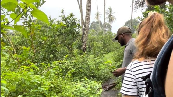 ZANZIBAR: JOZANI FOREST