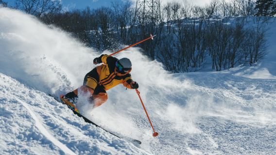 郡上ダイナランドワンデーツアー【名古屋/飛騨高山発】