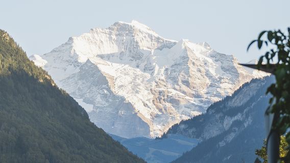 Jungfraujoch Top of Europe Private Tour from Zurich with Train Tickets