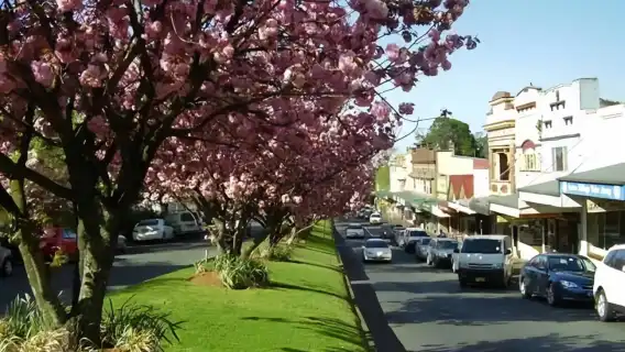 澳洲雪梨藍山公園一日遊【精品賓士團/兩種玩法/上門接送】